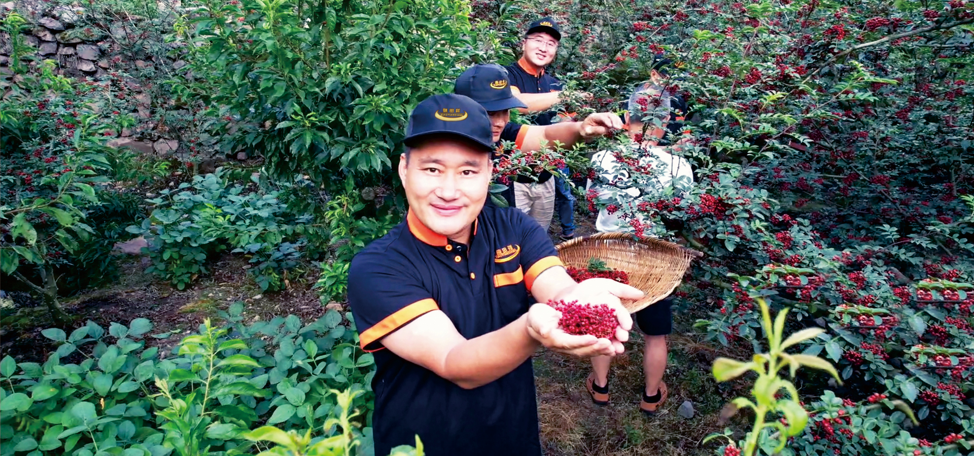 龙8头号玩家